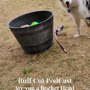 Cable, bucket head ! 2