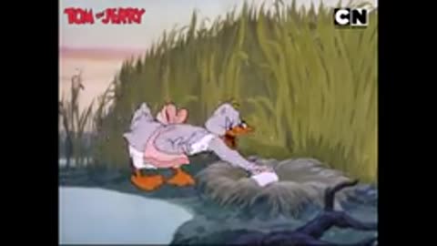 Tom and Jerry are doing their funny activities 😂