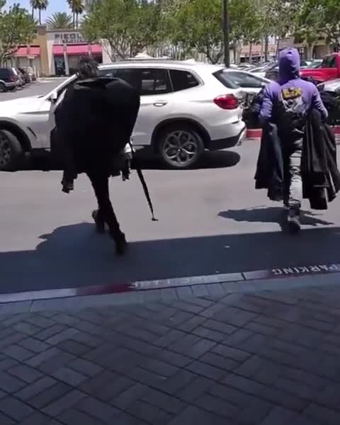 Organized shoplifting in Los Angeles.