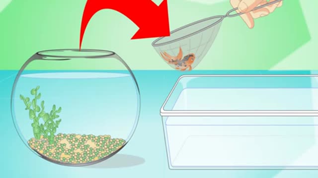 Change the Water in a Fish Bowl