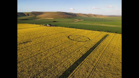 KEEP YOUR EYES ON THE FIELDS!