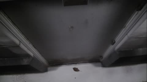 0921USCG00HT18Exterior_2021-01-06_06h00min01s340ms.mp4