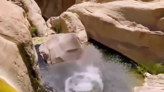 diving