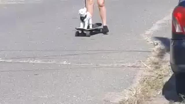 Skate board