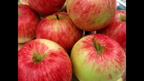 Momento Malum Today Episode 141 USask Apples