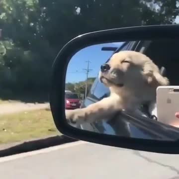 Enjoying the front seat is really different