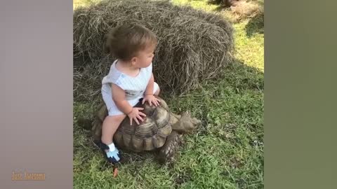 Funny babies meet the animals