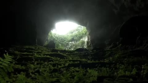 REPTILIAN HUMANOIDS IN VIETNAM CAVE