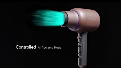 Wavytalk Professional Ionic Hair Dryer