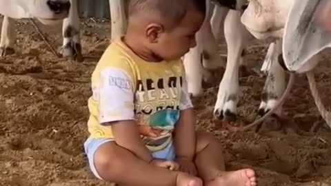 Viral