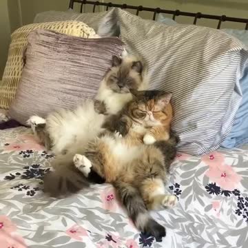 When you try to stay awake on Monday morning but COMPLETELY fail