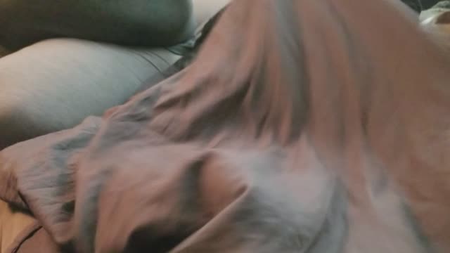 Kitty having fun!