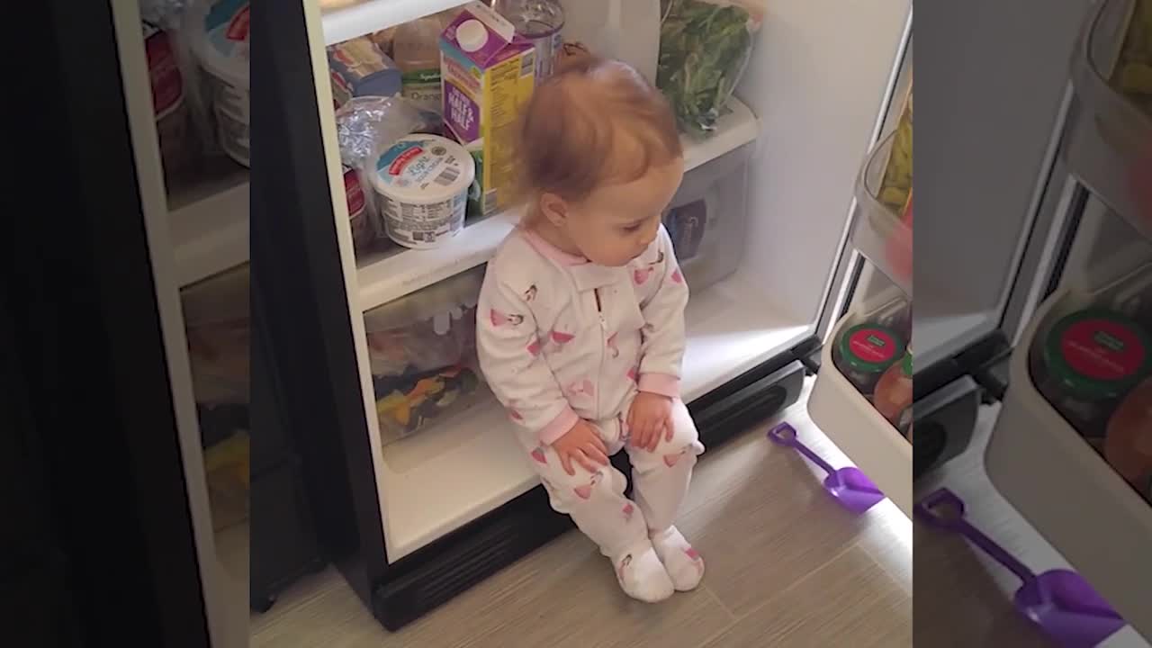 What Happens When Baby Open The Fridge