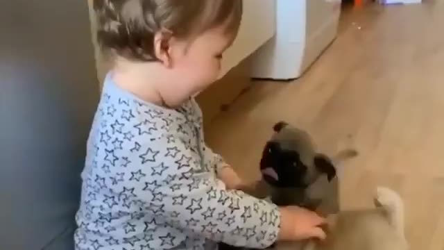 A Cute Baby Playing With puppies