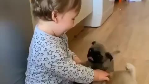 A Cute Baby Playing With puppies