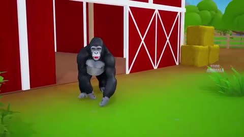 Zoo fun