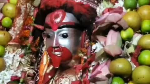 Foloharini Kali Puja Puja #tarapith #joymatara #tara #joytara