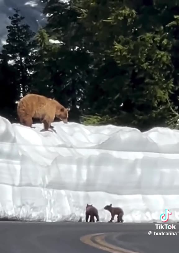 Mama osa poniéndoles a sus hijos las cosas difíciles