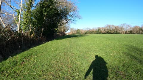 Hiking. Speedlapse. New forest