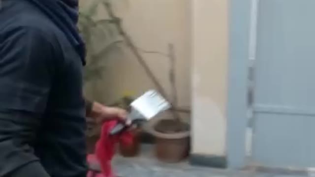 Painter life