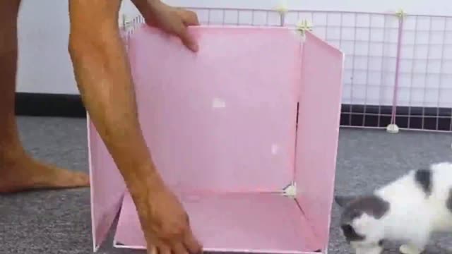 DIY Dog House For Pomeranian Puppies With Cube Gri_batch