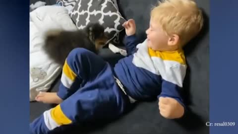 Baby and puppy is plays like best friends