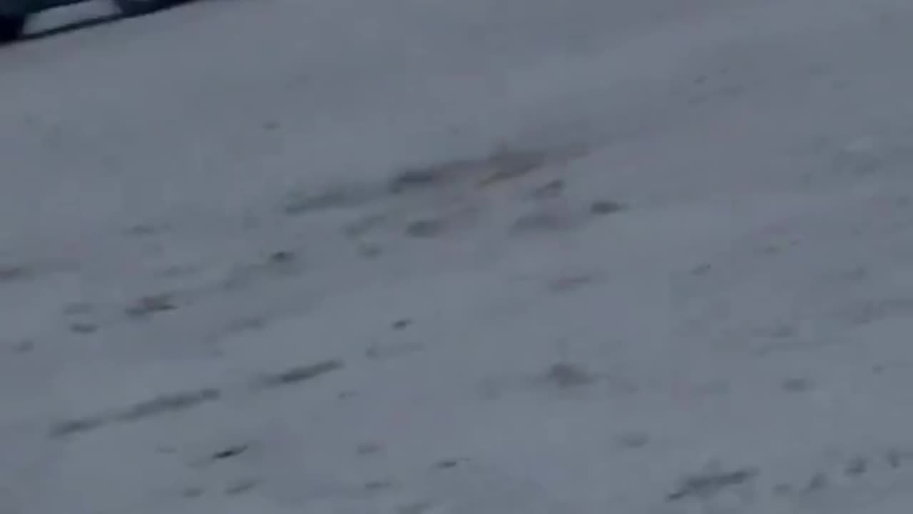 Yesterday he tried and failed again to cross the channel in to England