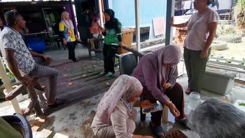 P13 Hydroponics / Hidroponik @ Meru Klang, 23 Jul 2024