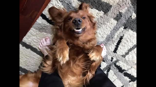 Face Reveal Slideshow (2001-2020)