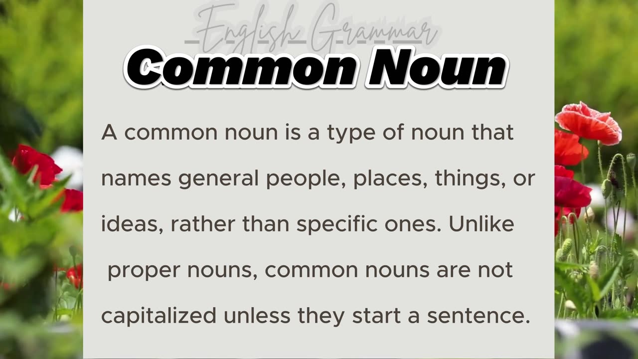 Understanding Common Nouns: Definition and Examples