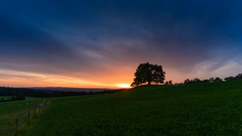 The cows and sheep in the evening have all returned home