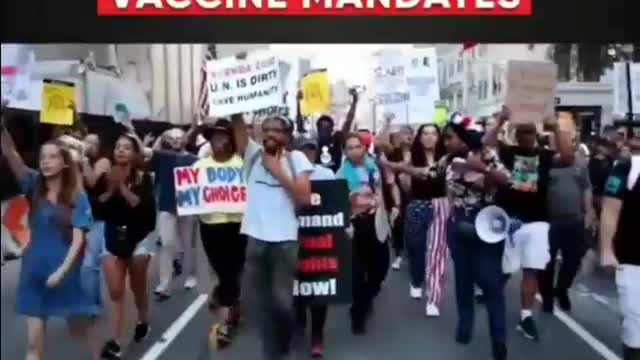 Trump supporters and BLM march together!