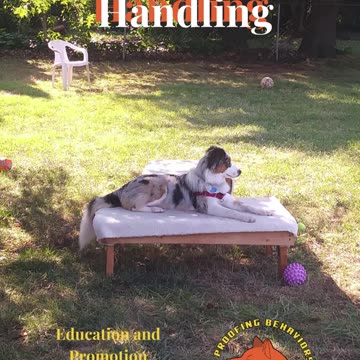 Ruff Cut PodCast Leash Handling part 1 cut h