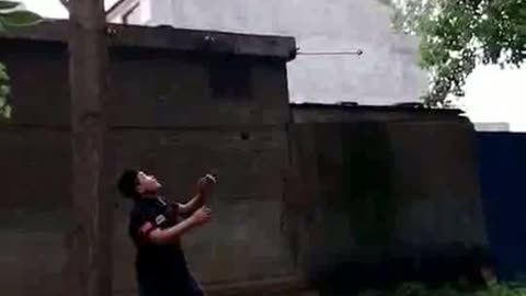 Amazing dog makes wonderful movements | funny dog | cute dog