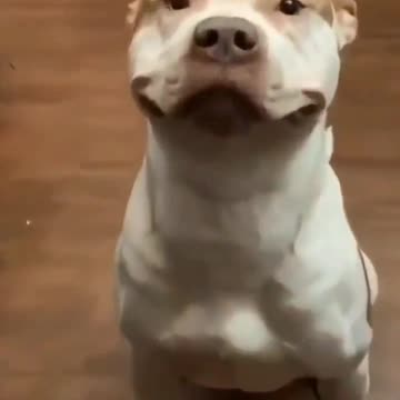 The pretty smile ever seen☺️☺️☺️☺️☺️☺️☺️