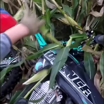 Best solution! - Legjobb megoldás!