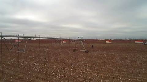 Winter cotton field 5