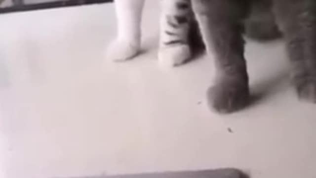 Wait for it.... lol