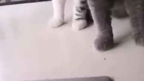 Wait for it.... lol