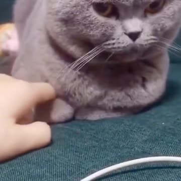 Please let me hold your hand.