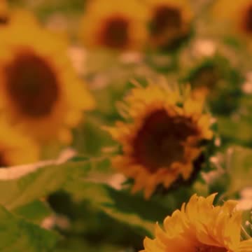 069 In numerology, Life Path 61 slash 7 invites you on a journey of deep