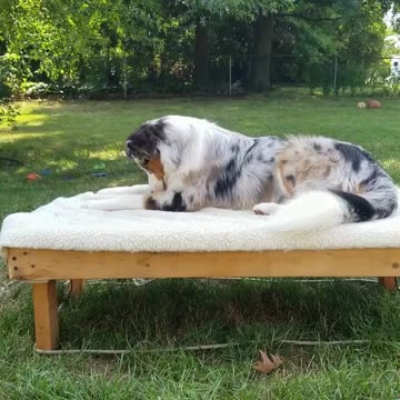 It's all in the game of Fetch part 3 cut 2