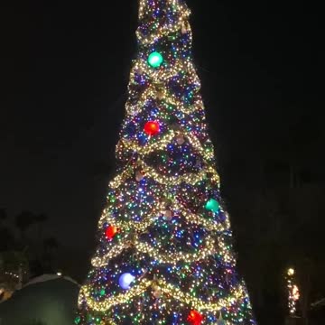 Disney Hollywood Studios Christmas tree