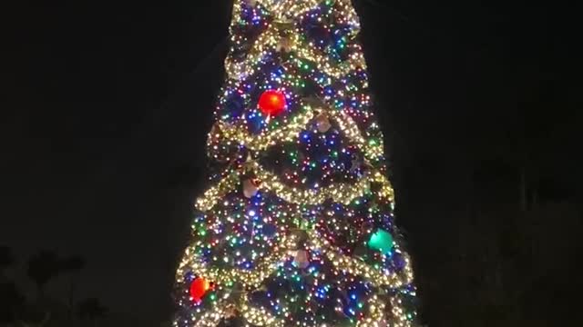 Disney Hollywood Studios Christmas tree