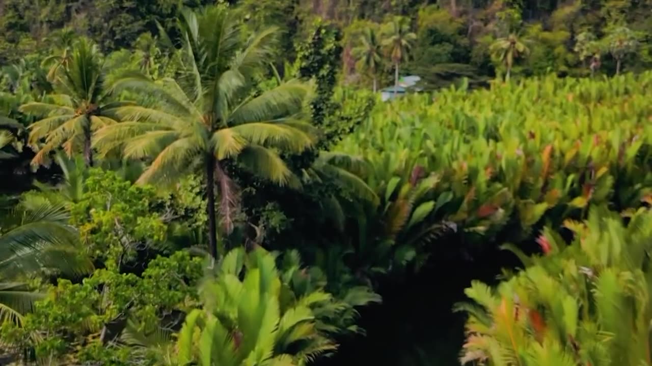 Exotic Escapades: Unforgettable Journeys Awaiting You