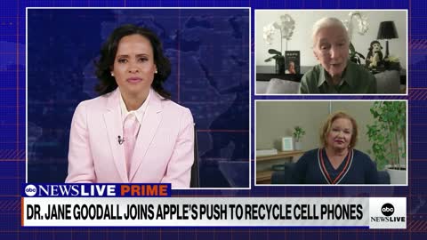 Apple partners with Dr. Jane Goodall to confront the climate crisis _ ABCNL