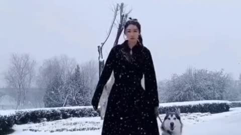 Cute animals videos