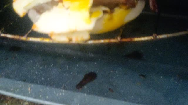 Breakfast sandwich