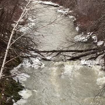 Wow! Trees down! Rain rain
