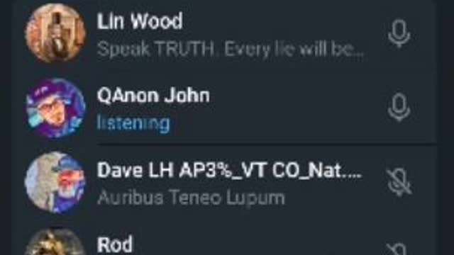 The Patriot Voice Lin Wood Track 4 of 8 transcript link in description